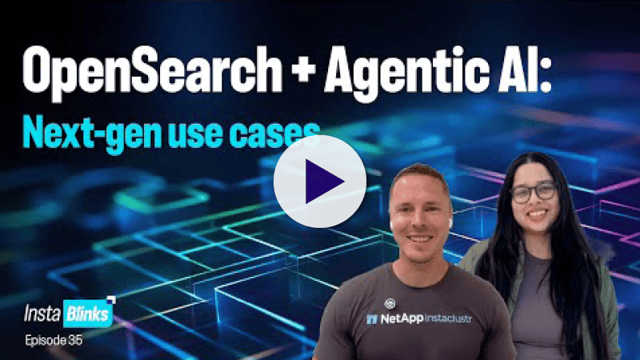 InstaBlinks: OpenSearch + Agentic AI — Next-Gen Use Cases